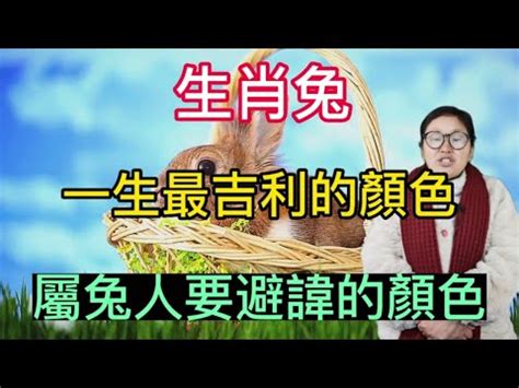 本命色是什麼|生辰八字顏色查詢 你的幸運色是什麼呢